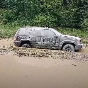 Meet your Posher, Dalton